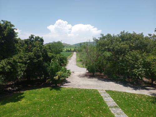 Terreno de cien hect�reas, Ayala Morelos