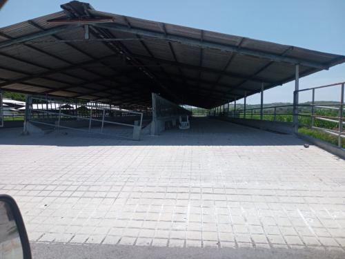 Terreno de cien hect�reas, Ayala Morelos