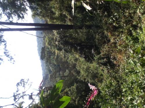 TERRENO EXCELENTE OPORTUNIDAD DE INVERSION