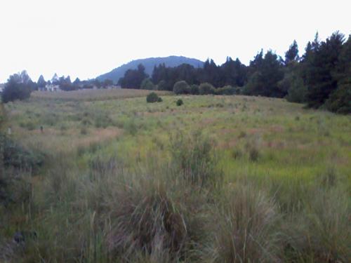 TERRENO CAMPESTRE PANORAMICO EN VENTA