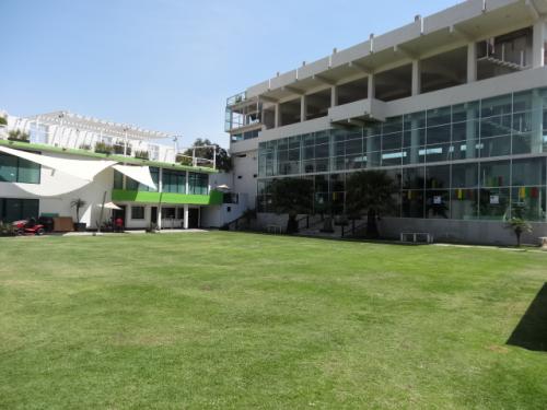 TERRENO CON EDIFICIO Y AMENIDADES